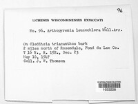 Image Associated With the Occurence